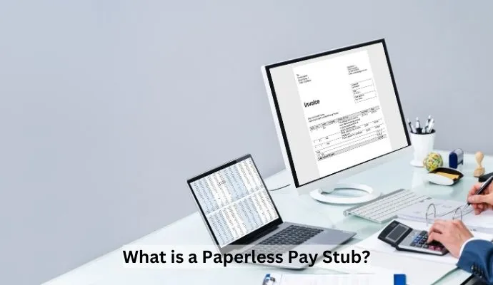 What is a Paperless Pay Stub